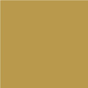 MetallicGold MetallicGold MetallicGold 100+E1282
